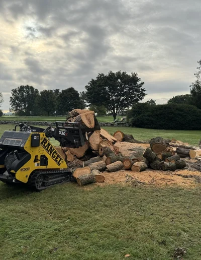 Tree Removal Stamford CT