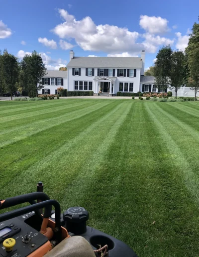 Rangel Landscaping-stamford CT