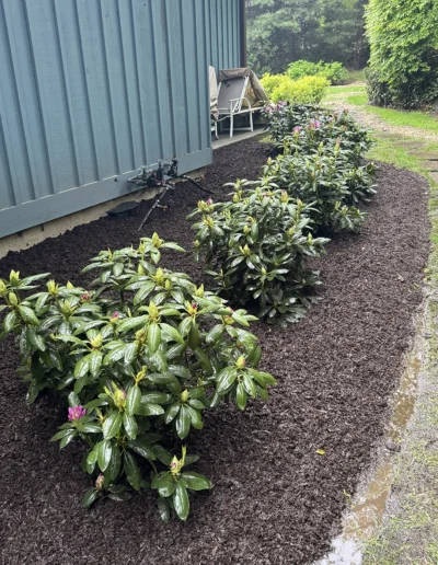 Rangel Landscaping Planting stamford and Greenwich CT