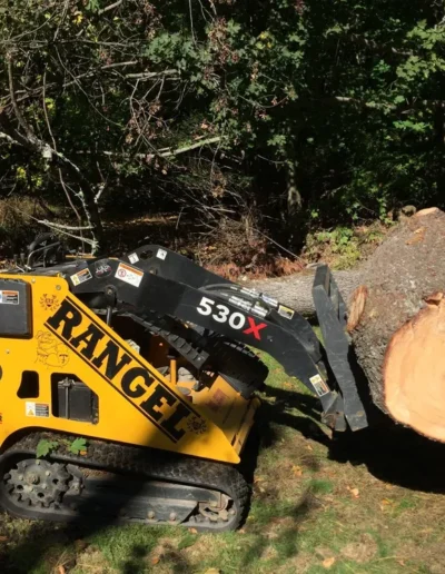 Rangel Landscaping CT