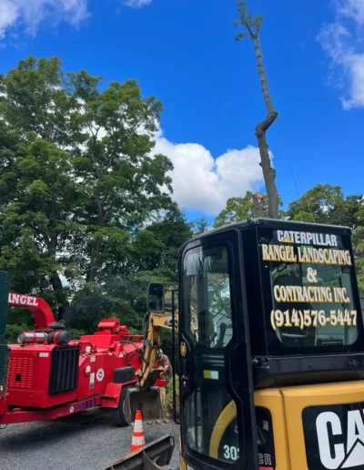 Rangel Landscaping CT