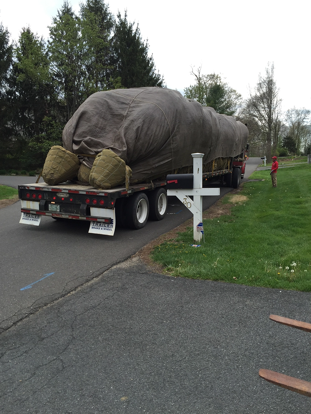Planting Stamford and Greenwich CT